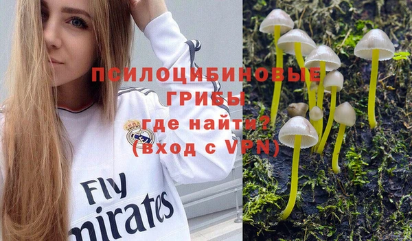 бутират Коряжма