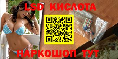 spice Гусев