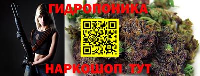 spice Гусев