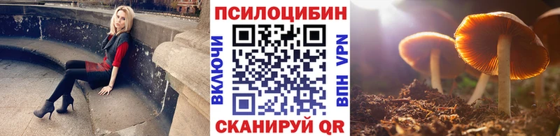 купить  сайты  Кольчугино  нарко площадка официальный сайт  Псилоцибиновые грибы ЛСД 