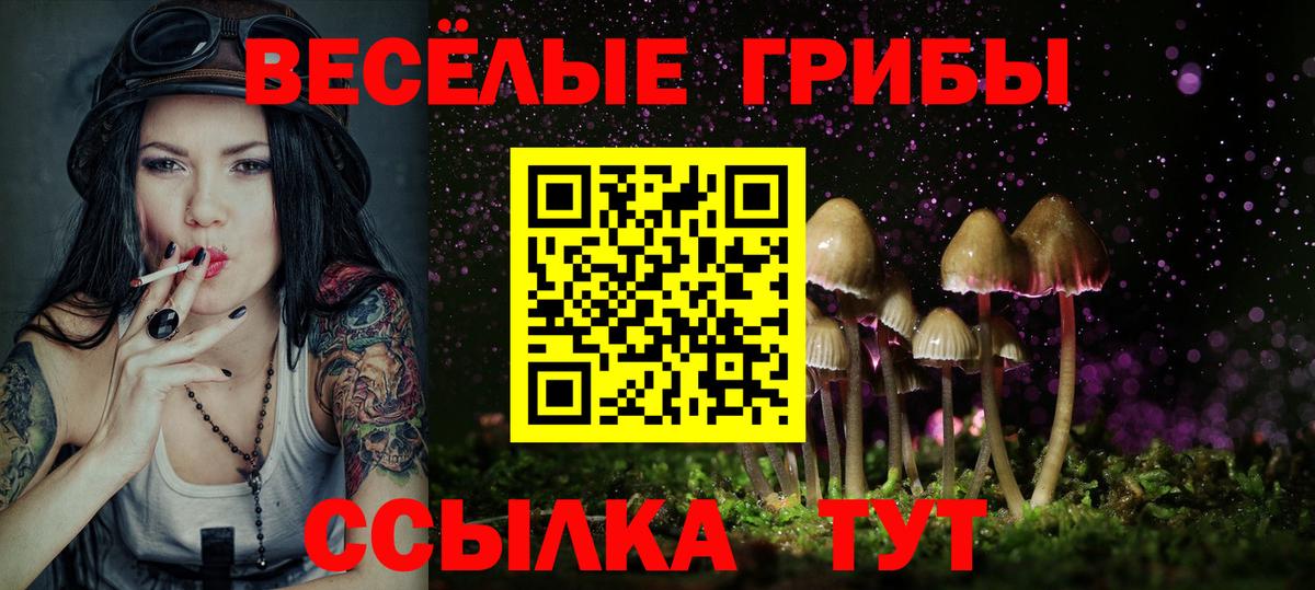 Псилоцибиновые грибы Magic Shrooms Кольчугино